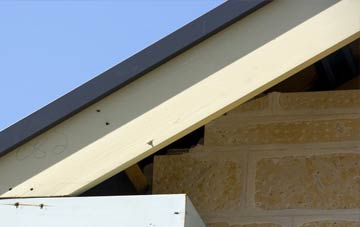 Common Edge fascia repairs