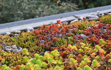 the cost of Common Edge green roof installation