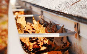 Common Edge gutter cleaning companies