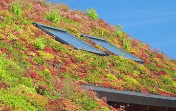 Common Edge living roof systems