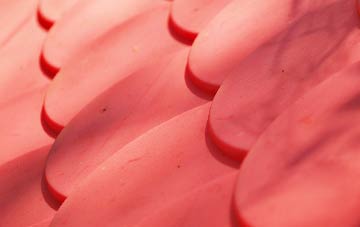 Common Edge plastic roof costs