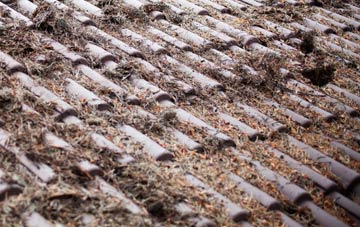 Common Edge roof cleaning companies