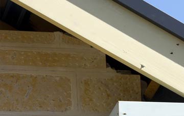 soffit repair Common Edge