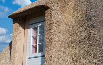 Common Edge thatch roof disadvantages