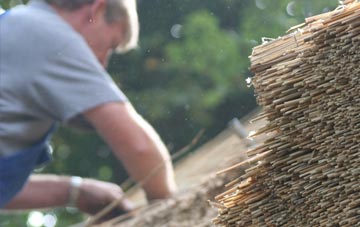 professional Common Edge thatchers